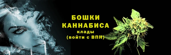 шишки Армянск